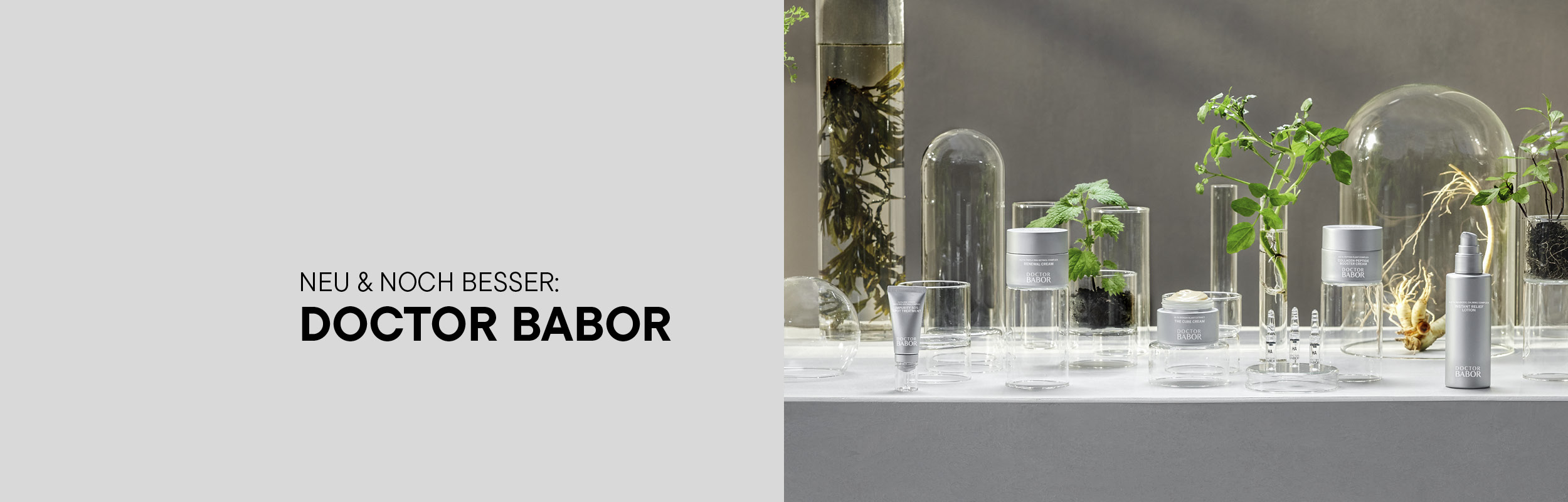 DOCTOR BABOR
